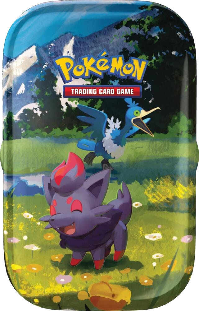 Ascended Heroes: Zorua Mini Tin - Ascended Heroes