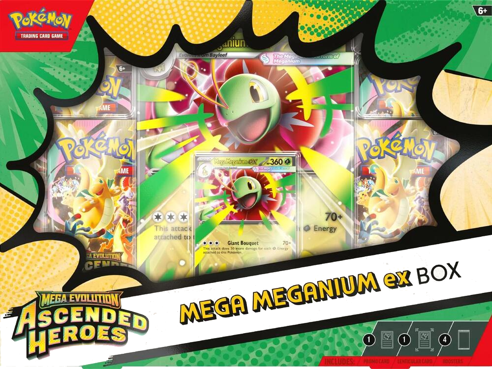 Ascended Heroes: Mega Meganium ex Box - Ascended Heroes